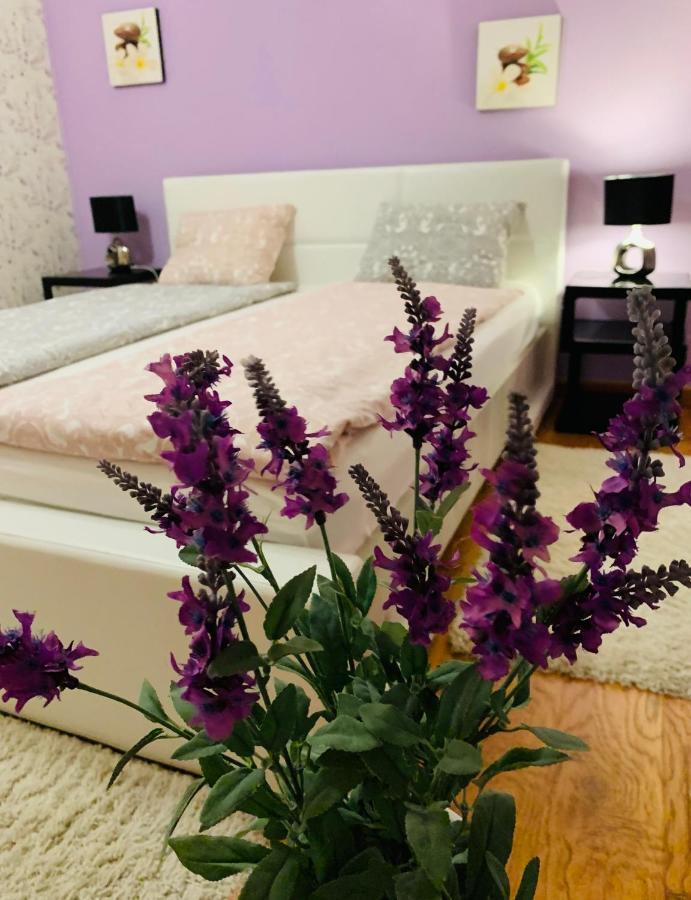 Casa Central Luxury Oradea Ngoại thất bức ảnh